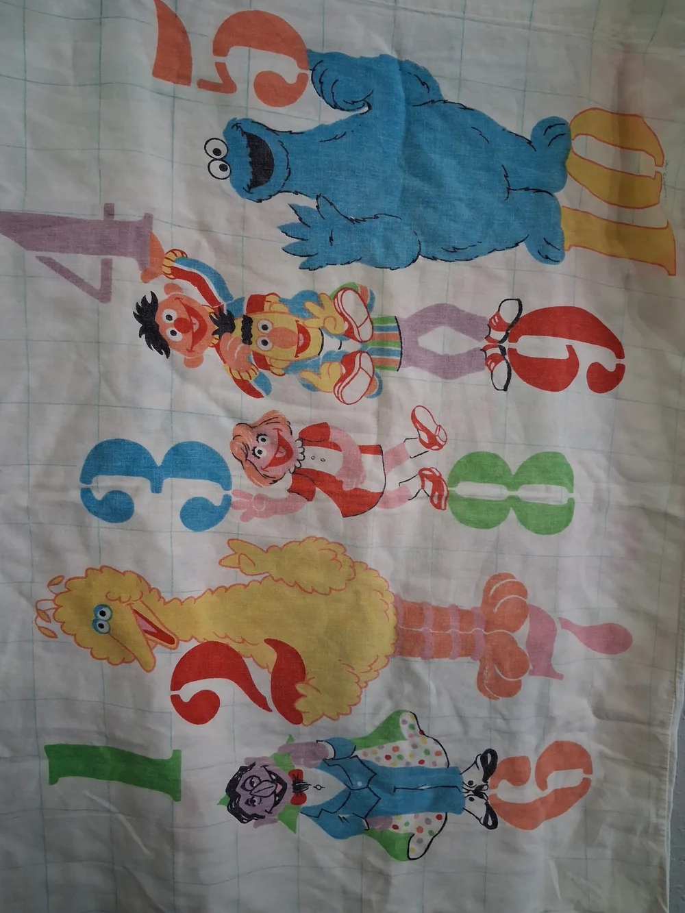 Vintage 1980s sesame street pillow case cotton big bird cookie monster Dracula